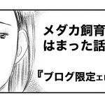 メダカ飼育沼にはまった話⑨