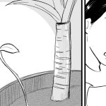 謎の新芽